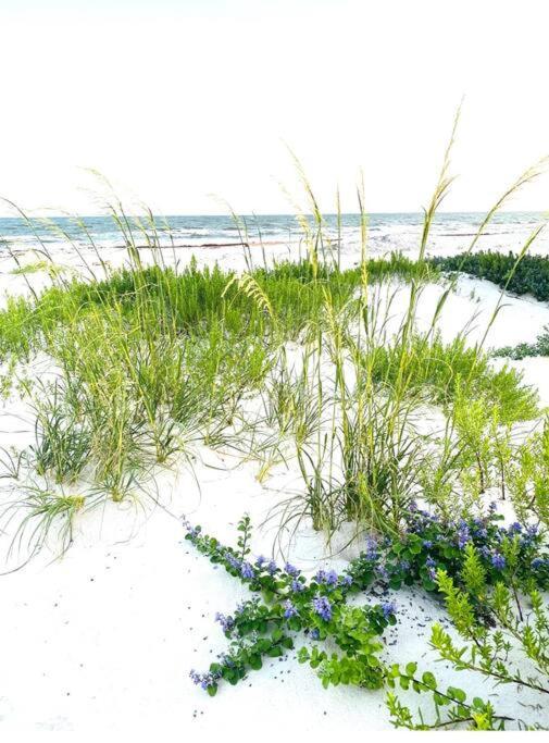 Pet Friendly Tranquil Cottage With Fire-Pit And Seasonal Hot Tub Sept-March Minutes To Beaches Dauphin Island Exterior foto